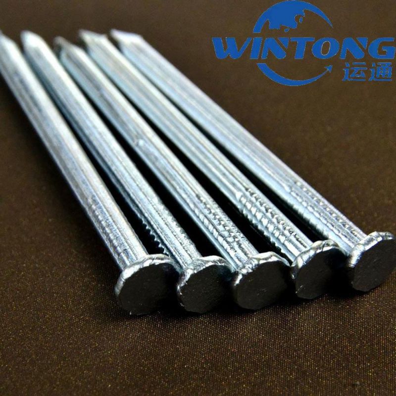 Galvanized Concrete Nails Black Hardware Nails
