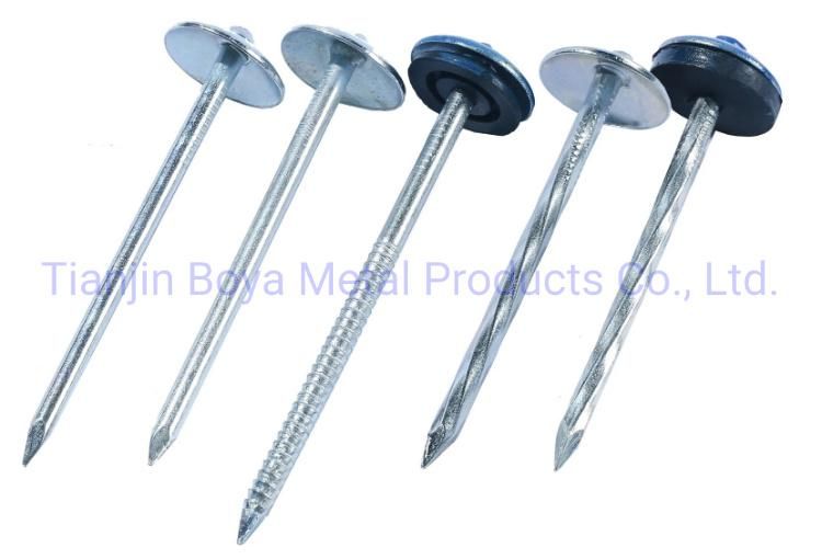 Umbrella Head Roofing Nail/Blue and White Zinc Plated/Color Zinc Corrugated Nails