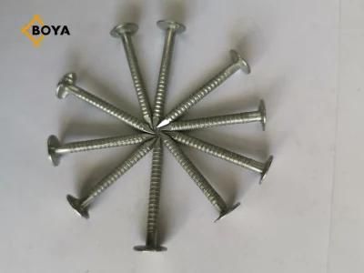 High Quality Ring Shank Roofing Nail