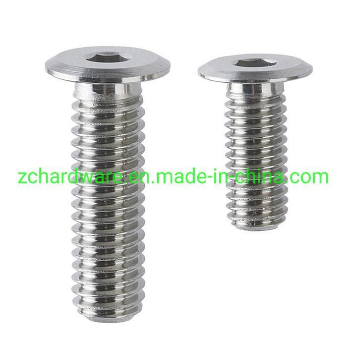Stainless Steel 304 Ultra Low Head Cap Screw