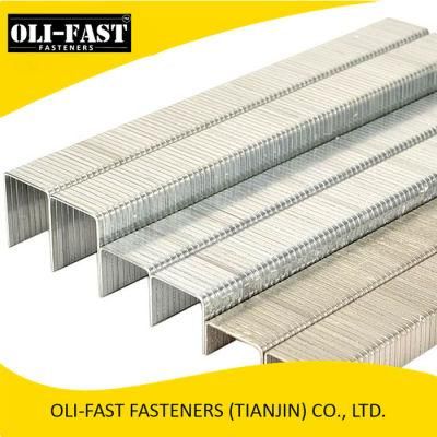 A11 for Furniture, Upholstery Staples, T50 Staples