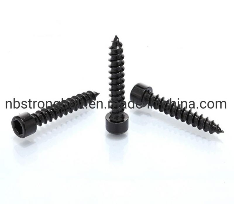 Hexagon Self-Tapping Screw Socket Self Drilling Screw