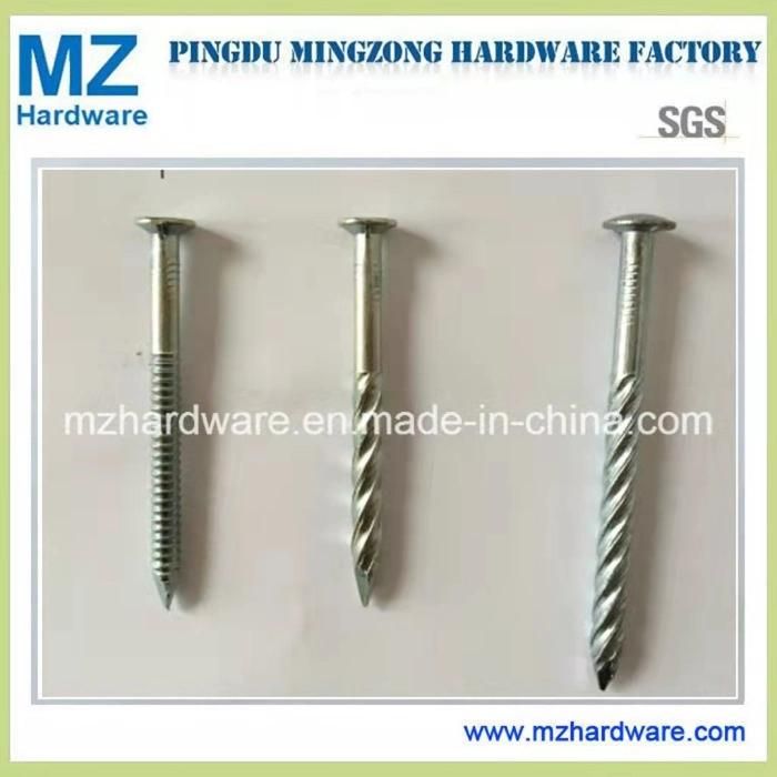 Eletro-Galvanized Nail Concrete Steel Nail