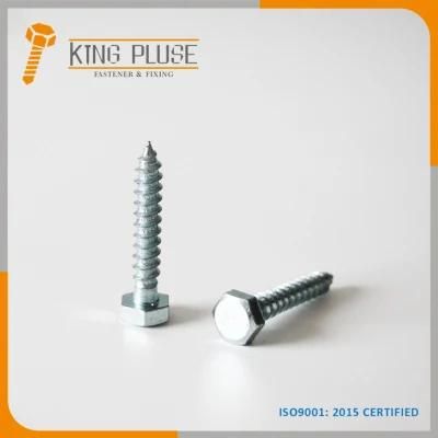 DIN571 Stainless Steel Hex Head Lag Wood Screw