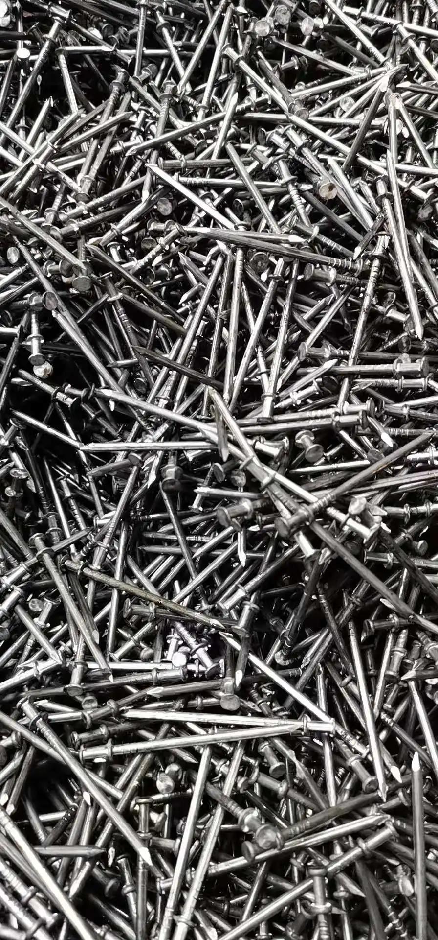 Common Nail with Double Head/Galvanized Iron Duplex Head Hangers Nail/Clavos