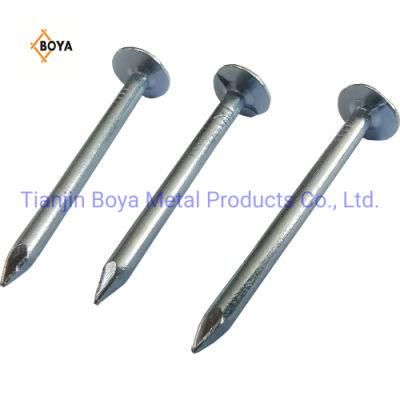Best Price Galvanized Roofing Felt Clout Nail From China Factory