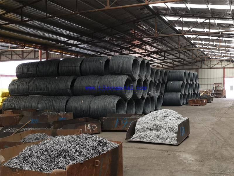 China Factory Polish Galvanized Two Double Head Wire Duplex Nail for Construction