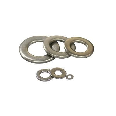 Stainless Steel304 316 Customized DIN125/DIN9021 Flat Washer