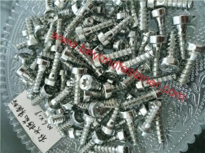 Torx Screw Self Tappig Screw Specail Bolts