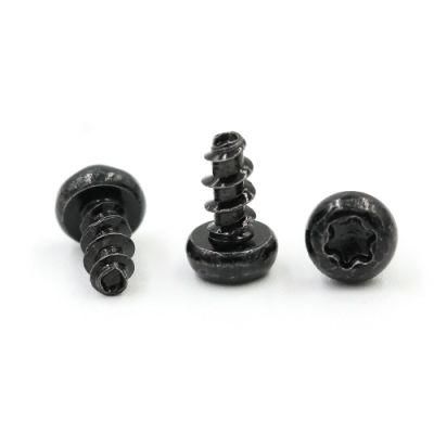 Stainless Steel Torx Countersunk Head Screw
