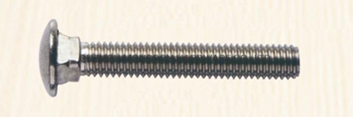 Stainless Steel Carriage Bolt with Mushroom Head□ Neck