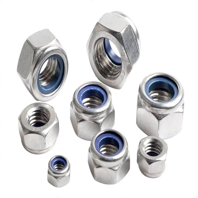 Stainless Steel 304 316 Nylon Lock Nut for Guangzhou Sample