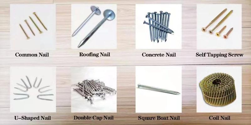 Zinc Coated Electric Galvanized Concrete Steel Nails with White Blue Color