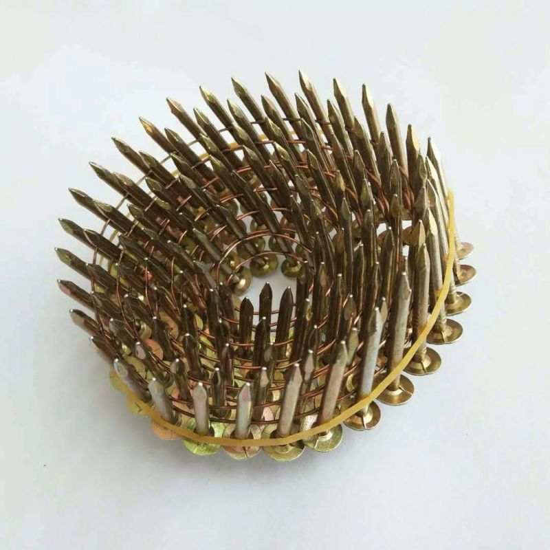 1-1/4"X. 120 E. G. Roofing Coil Nail 7200 PCS / CTN Factory Supply Pallet Coiled Clout Nail