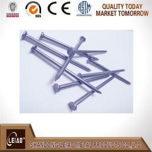 China Factory Common Nails with Good Quality