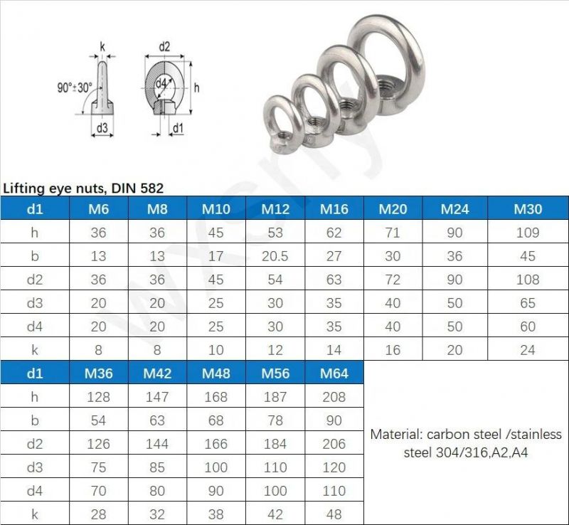 Stainless Steel 304 SS316 DIN582 Forged Lifing Galvanized Oval Eye Nut