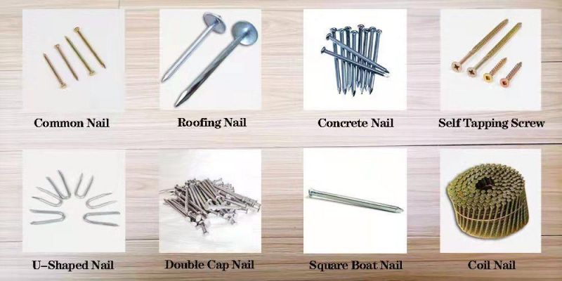 Hardened Special Concrete Nail Steel Nail/Color Plated Concrete Nail