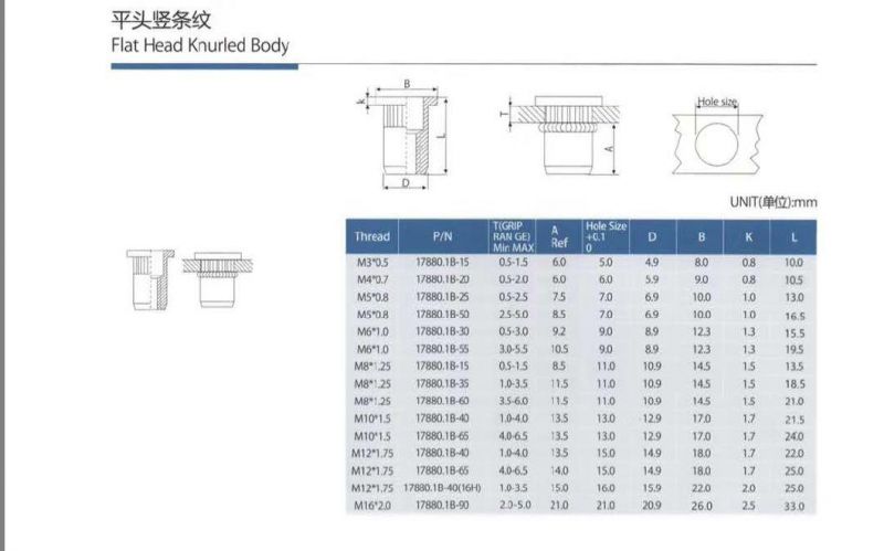 Insert Nut Round Body Large Head M10 X1.50 mm