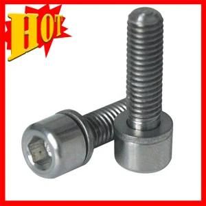 Pure Titanium Bolt with Samples in Stock