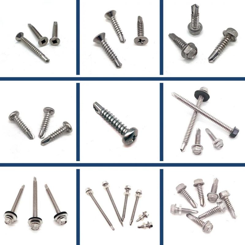 Stainless Steel SS304 SS316 Ss410 Hex Flange Head Roofing Screw Bi-Metal Screw Self Drilling Screw/Self Tapping Screw