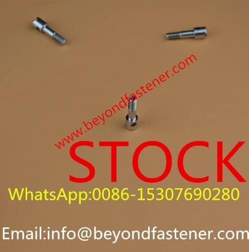 Meters Screw /Machine Screw/Terminal Cover Screw/Sealing Bolts