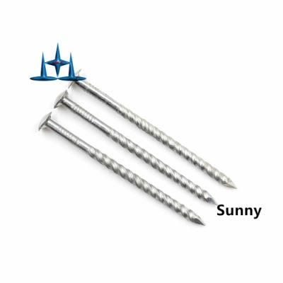Eg Roofing Screw 90mm Nails Roofing Screw 75mm Nails Roofing Spiral Screw Nails