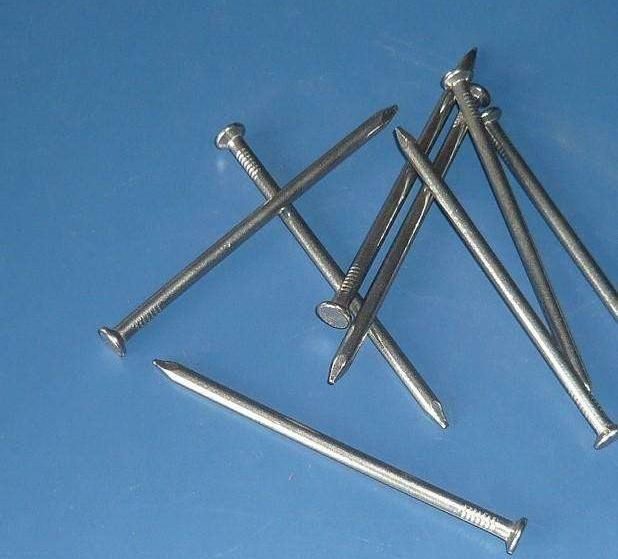 Factory OEM Common Galvanized Iron Polished Nail