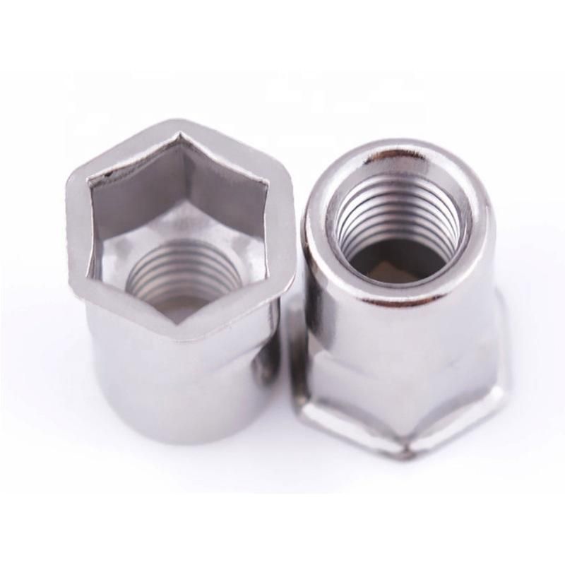 Stainless Steel Double Hex Countersunk Head Rivet Nut for Screw