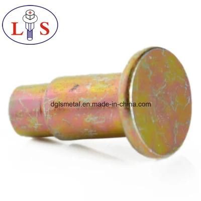 Cusomized Different Kinds of Stud Rivets