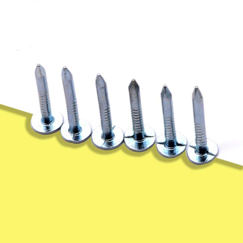 4 Inch Concrete Nails Steel Galvanized Stainless Steel Concrete Nails