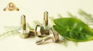 Hex Flange Head Self Tapping Thread Thread White Galvanized Self Drilling Screw with Washer