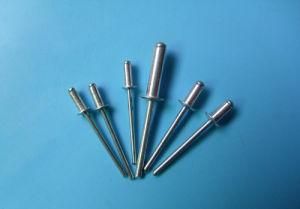 Closed End Type Rivet