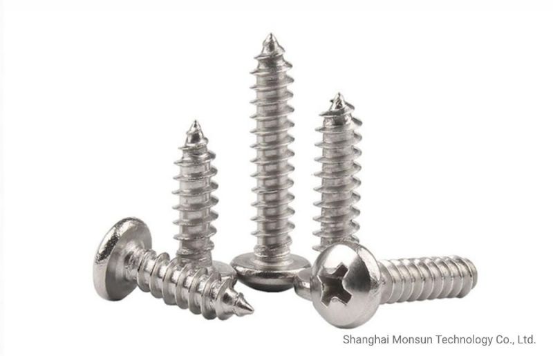 Stainless Steel Self Tapping Wood Screws Made in China
