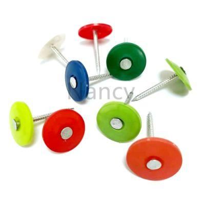 2-1/2 in. X 11 Ga. Electro-Galvanized Plastic Cap Roofing Nail Colorful Plastic Button/Cap