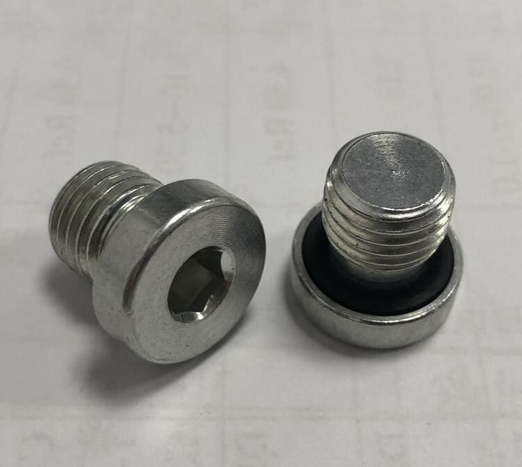 Metric Male Captive Seal Internal Hex Plug