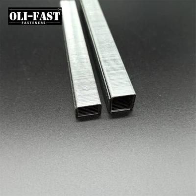 21ga 84/12mm Series Staples Factory Supply with High Quality