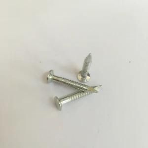 Galvanized Small Screw Iron Nails