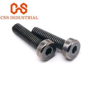 Stainless Steel SUS304 Hexagon Socket Countersunk Head Screws