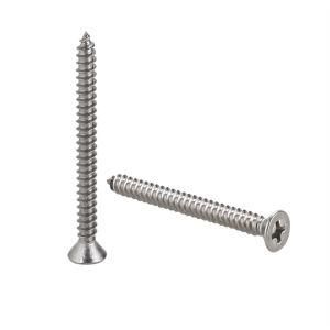 Csk Philip Head Self Tapping Screw Nickel