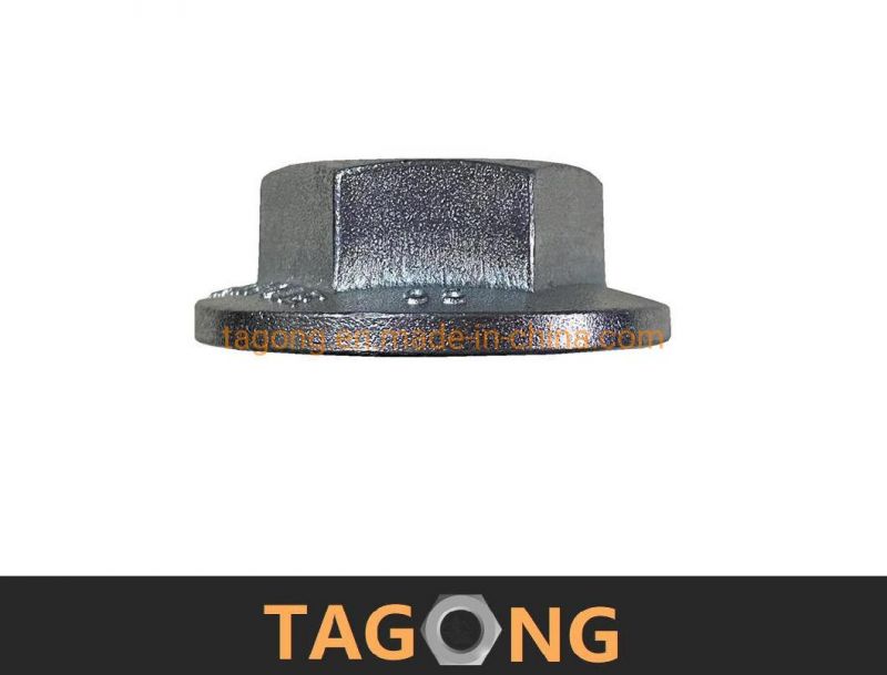 Accept OEM Hex Nuts Ifi1986 Large Flange Nuts