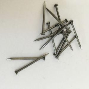 Polishing Iron Shoes Nails / Little Round Head Nails