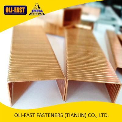 C34 3/4&quot; Carton Staples, 3218 Copper Carton Staples