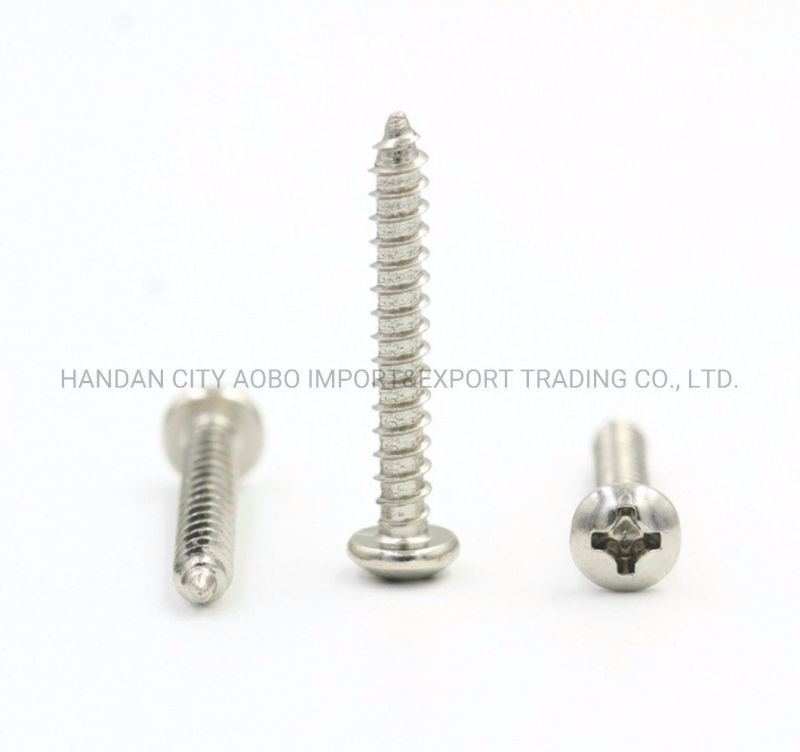 Stainless Steel Philip Pan Head Self Tapping Screw (SS304 SS316)