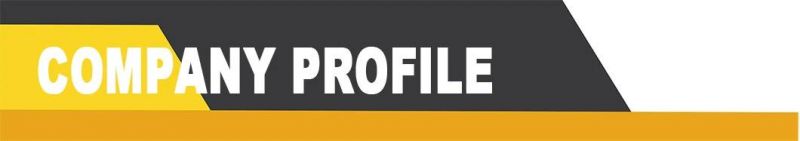 Truck and Trailer Hub Bolts Wheel Bolts for European Applications