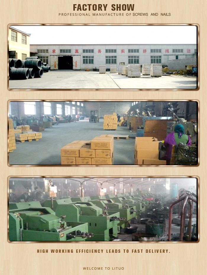 Umbrella Head Roofing Nails with Rubber Washer