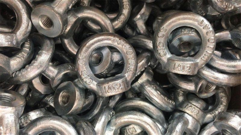 Elec. Galv. DIN582 Lifting Eye Nut