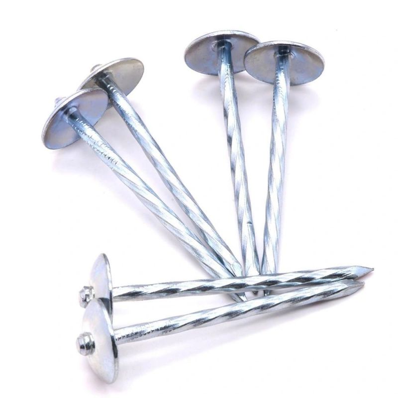 South Africaangola Zambia Namibia Market/Umbrella Head Roofing Twist Nails Galvanize Umbrella Head Roofing Nails