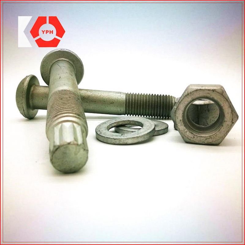 Round Bolt DIN933 Hex Nuts DIN931 HDG