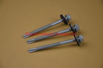 Bi-Metal Screw Factory