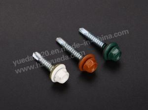 Hex Head Self Drilling Screw with Painted Head Green Painted